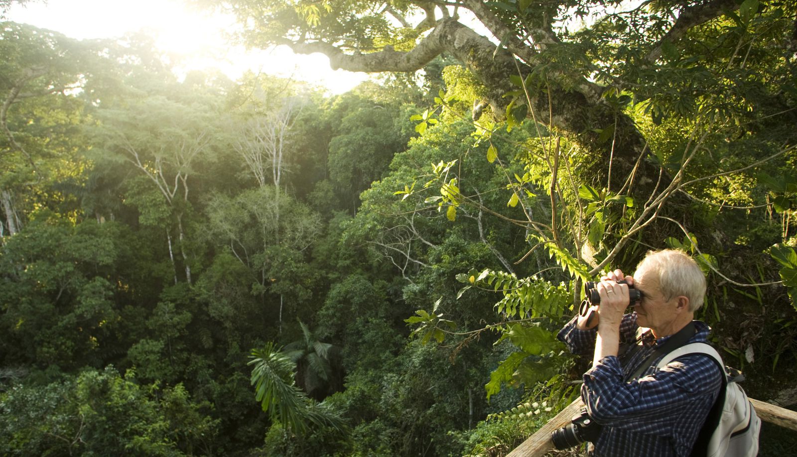 Cuc Phuong Forest 