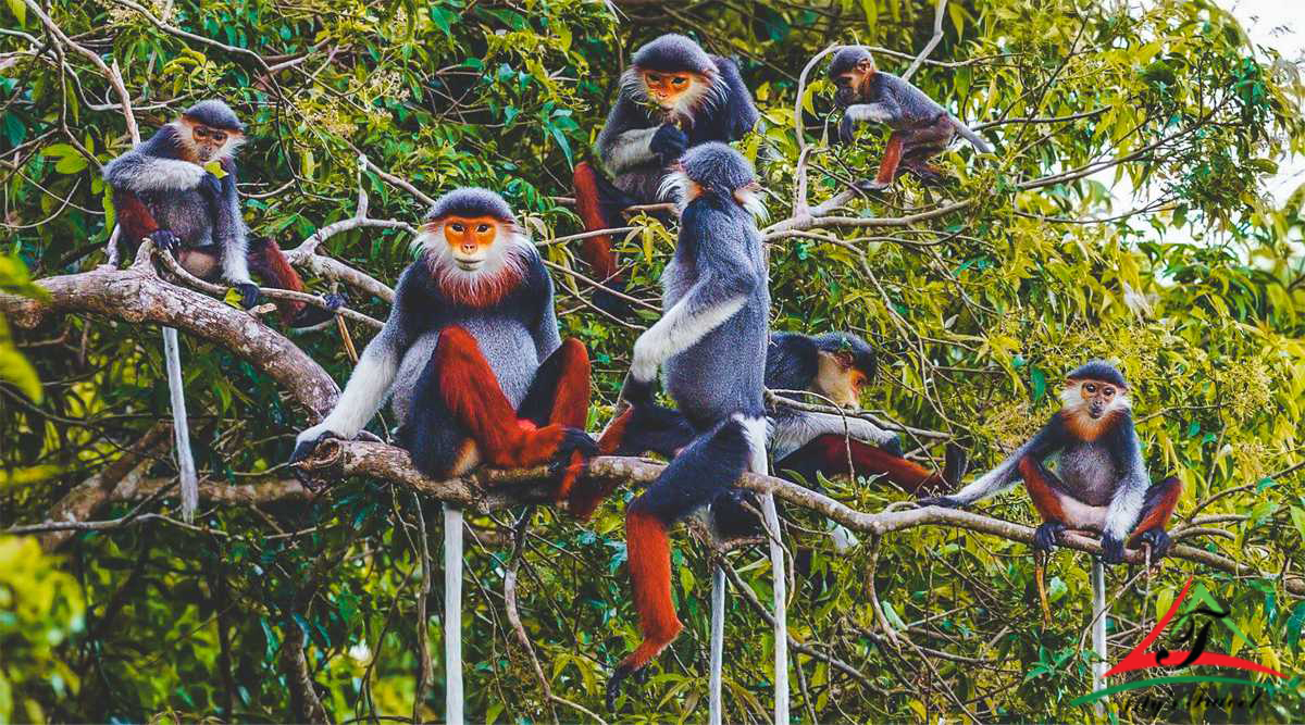 Cuc Phuong National Park