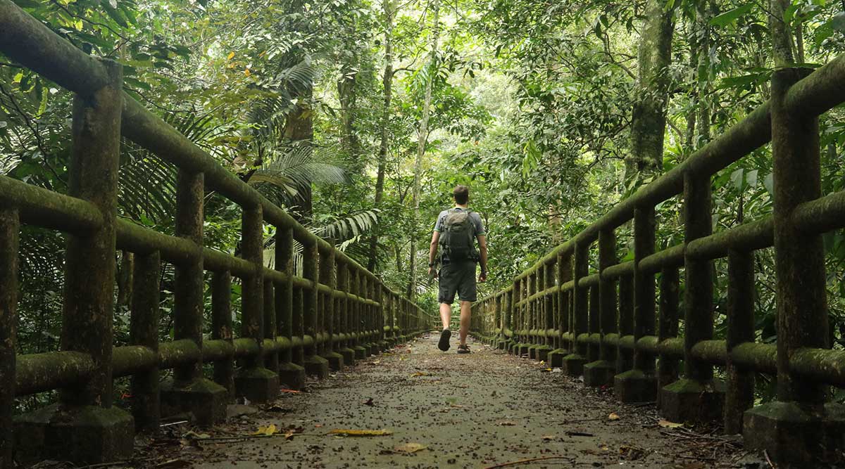 Hoa Lu - Tam Coc - Cuc Phuong Forest