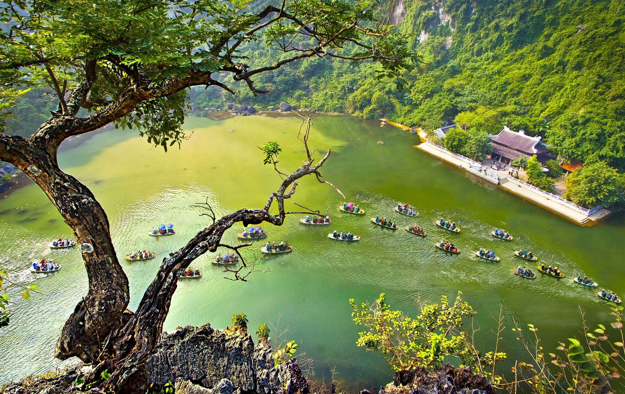 Hoa Lư - Tam Cốc - Hang Múa - Bái Đính - Tràng An 2-Day 1-Night Tour