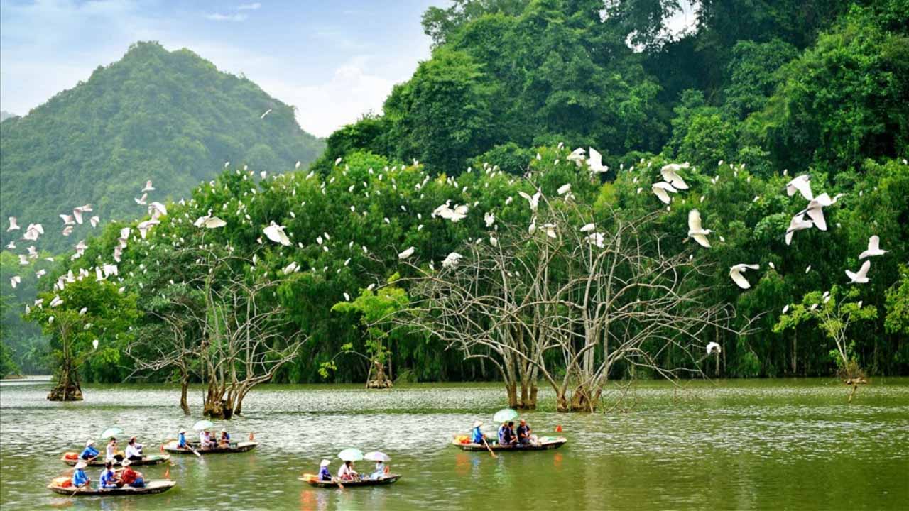 Hoa Lu and Thung Nham