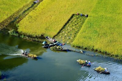 Tam Coc