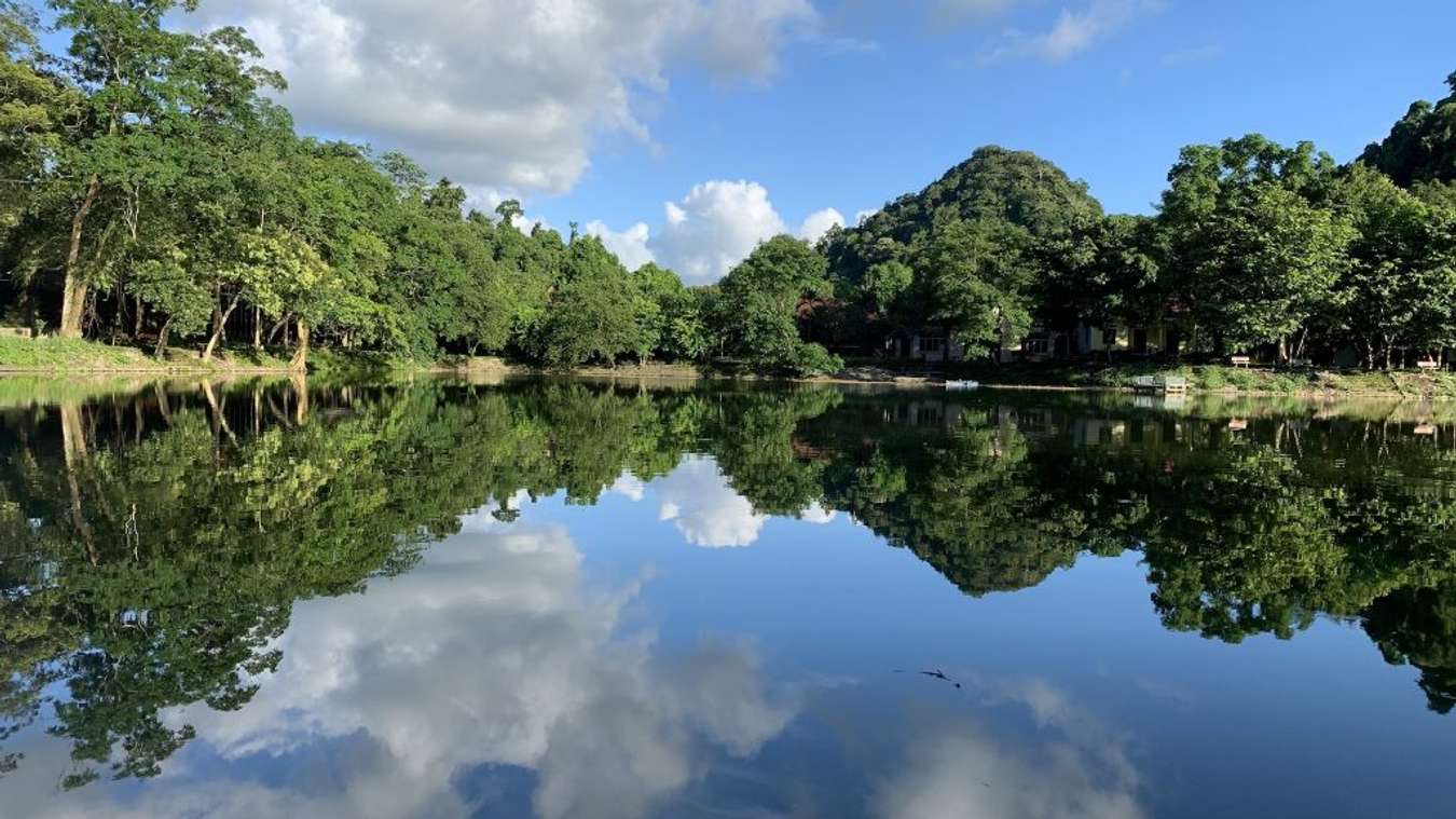 diverse flora and fauna ecosystem of Cuc Phuong National Park