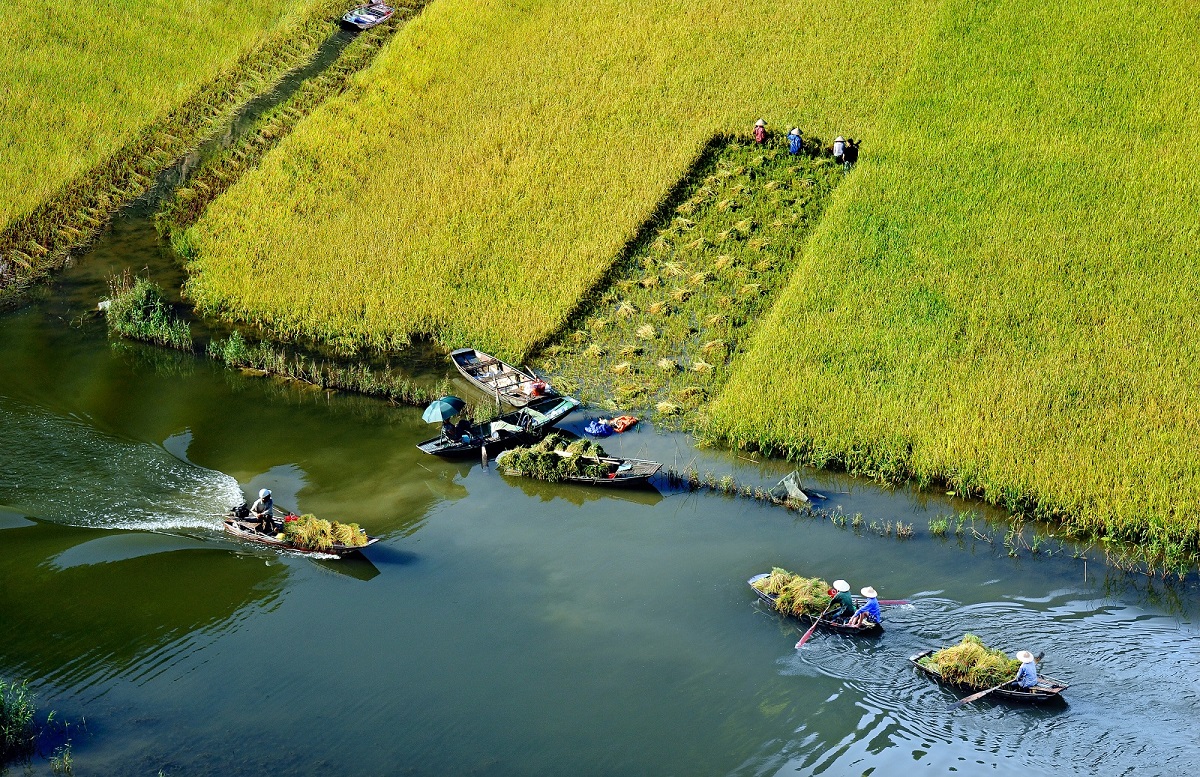 Tam Coc - Bich Dong - Thai Vi Temple - Thung Nham tour 1 day