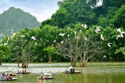 Thung Nham Bird Garden