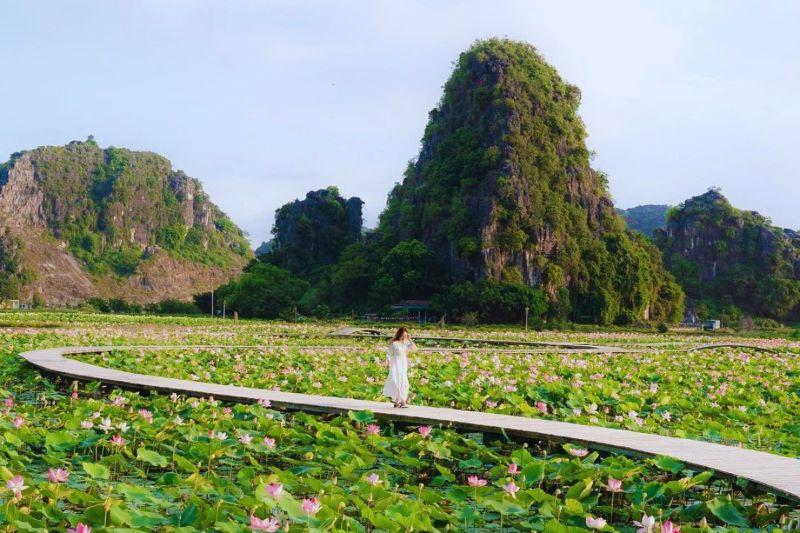 a-complete-travel-guide-to-ninh-binh-10