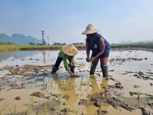 local-life-in-ninh-binh-7