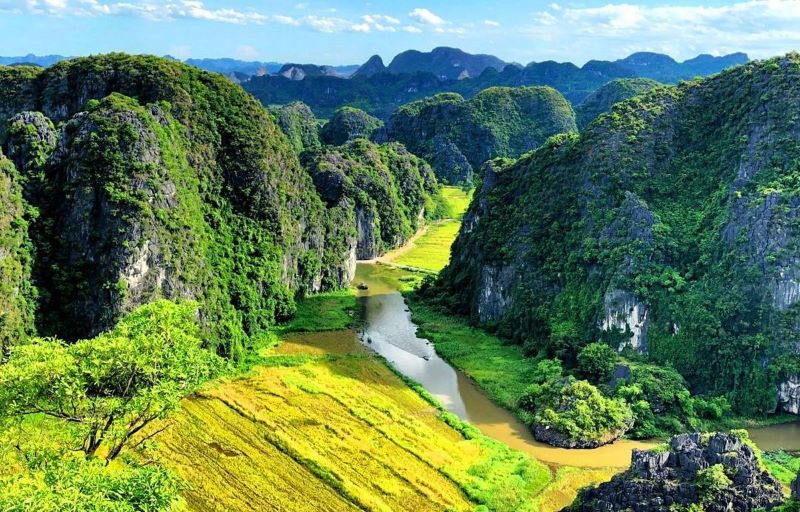 ninh-binh’s-stunning-rice-fields-1