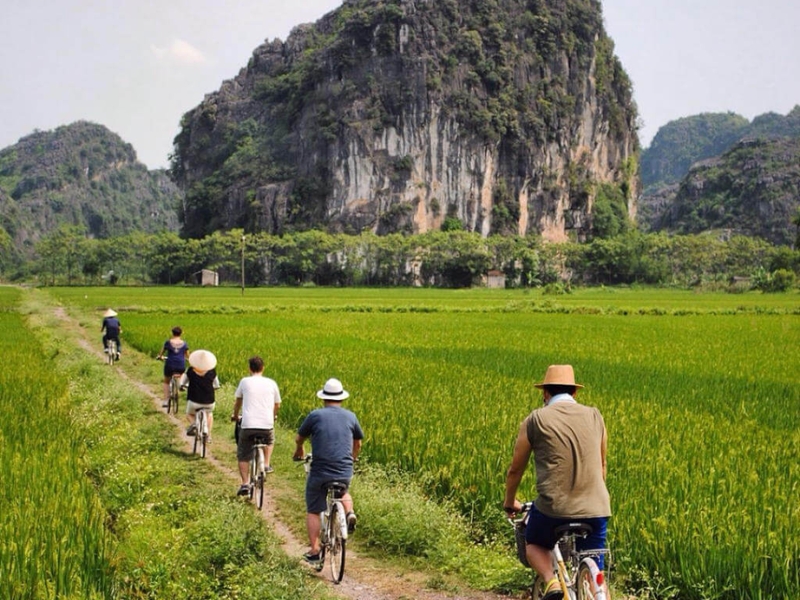 ninh-binh’s-stunning-rice-fields-10