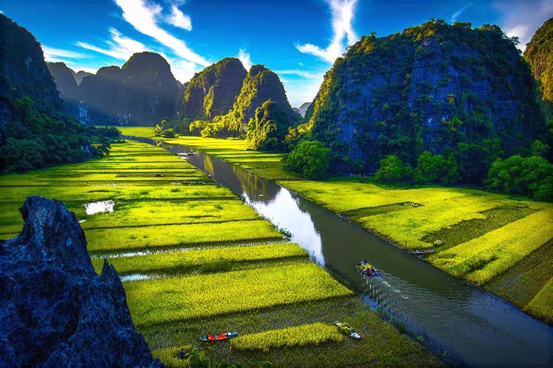 ninh-binh’s-stunning-rice-fields-3