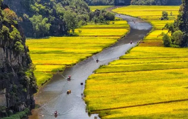 ninh-binh’s-stunning-rice-fields-4