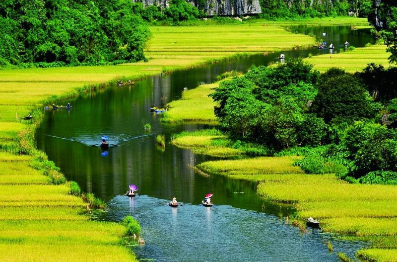 ninh-binh’s-stunning-rice-fields-5