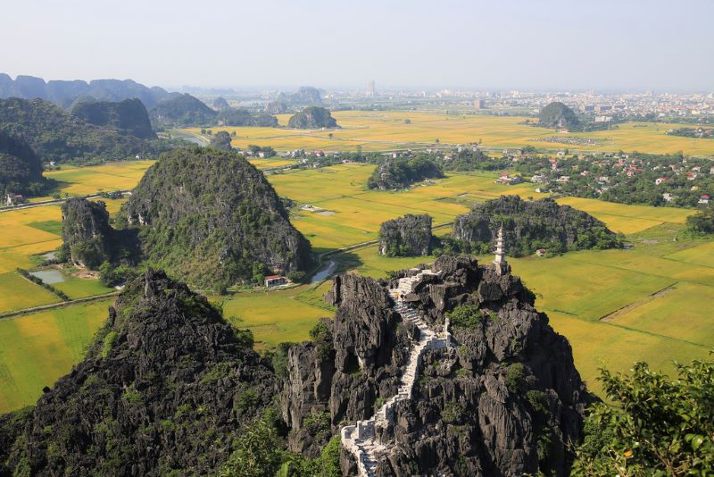 ninh-binh’s-stunning-rice-fields-6