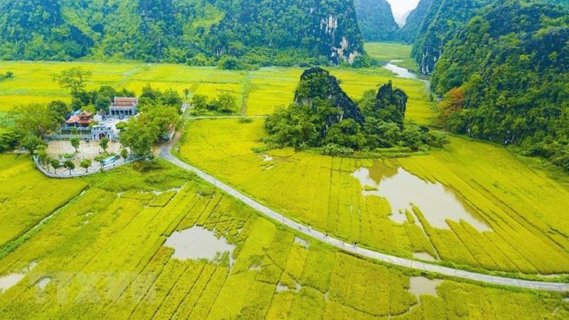 ninh-binh’s-stunning-rice-fields-7