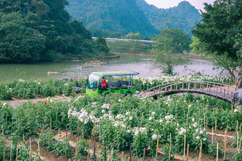 things-to-do-in-ninh-binh-10