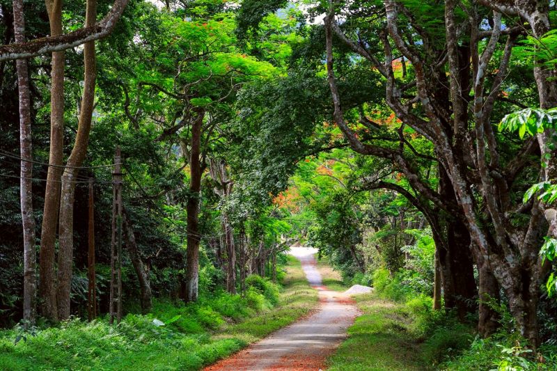 things-to-do-in-ninh-binh-13